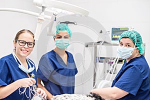 Young female veterinarian doctors posing smiling, inside operating room after successful surgery. Animals healthcare