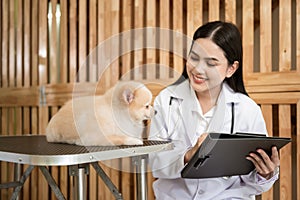 Young female veterinarian with stethoscope examining dog in vet clinic