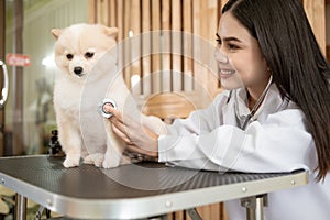 Young female veterinarian with stethoscope examining dog in vet clinic