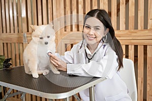 Young female veterinarian with stethoscope examining dog in vet clinic