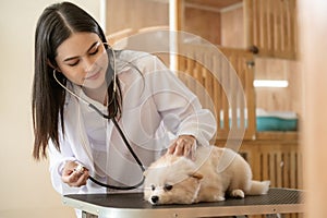 Young female veterinarian with stethoscope examining dog in vet clinic