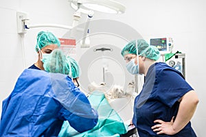 Young female veterinarian team, preparing a dog at operating room for surgery. Animals healthcare concept.