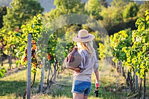 Young female vintner holding carboy in vineyard