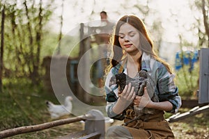 Young female zoologist examines chicken for diseases on the farm