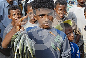 Young fishermen demonstrate catch of the day, Al Hudaydah, Yemen.