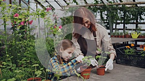 Young florist and her child are hoing soil in pot with green plants using gardening tools and having conversation