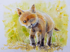 Young fox watercolor painted