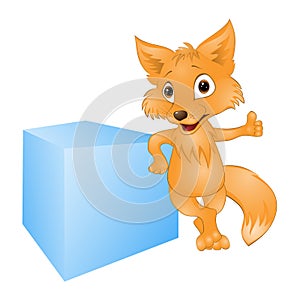 Young fox on a white background