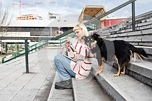 Young freelance expat woman sitting on the stairs of office building drinking coffee and working on laptop computer with her dog