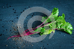 Young fresh beet root