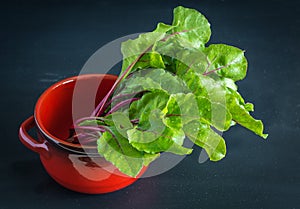 Young fresh beet roots