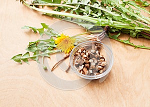 Young fresh dandelion roots on a wooden background