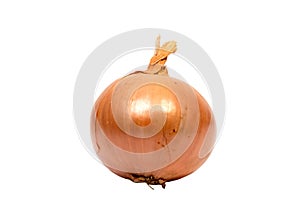 Young fresh onion isolated onbackground.