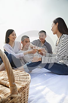 Young Friends Toast Each Other at Their Picnic on the Beach