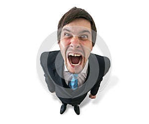 Young funny crazy businessman or boss is shouting. Isolated on white.