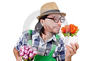 Young funny gardener with tulips isolated oin