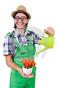 Young funny gardener with tulips and watering can