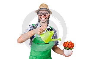 Young funny gardener with tulips and watering can