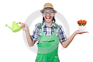 Young funny gardener with tulips and watering can