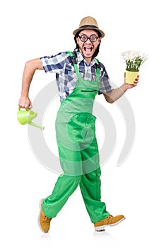 Young funny gardener with tulips and watering can