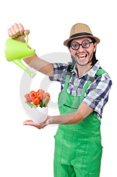 Young funny gardener with tulips and watering can