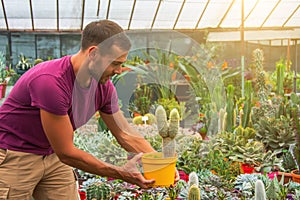 Young gardener caucasian male smiling holding pot cactus espopstoa. Growing and caring for plants and flowers in a greenhouse,