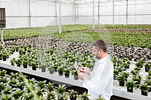 Young gardener working with plants in greenhouse