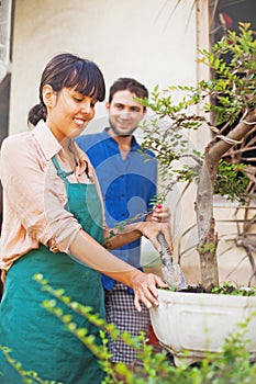 Young gardeners with bonsai