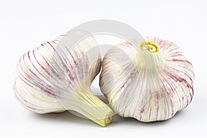 Young garlic close-up isolated on a white background