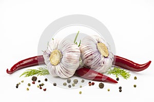Young garlic and red hot peppers isolated on a white background