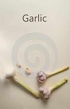 Young garlic with a stem on a light background. Horizontal orientation. The concept of minimalism