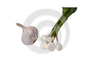 Young garlic on a white background. Isolate PNG. Salad. meat. cheese.