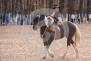 A young Gaucho riding a horse in exhibition