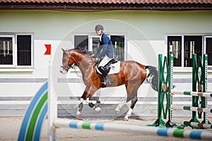 Young gelding horse and adult man rider galloping during equestrian showjumping competition in daytime