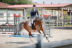 Young gelding horse and adult man rider galloping during equestrian showjumping competition in daytime in summer