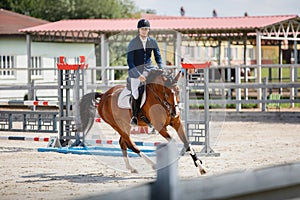 Young gelding horse and adult man rider galloping during equestrian showjumping competition in daytime in summer photo