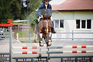 Young gelding horse and adult man rider jumping during equestrian showjumping competition in daytime