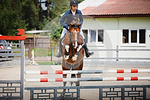 Young gelding horse and adult man rider jumping during equestrian showjumping competition in daytime photo