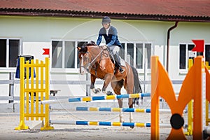 Young gelding horse and adult man rider knocked jump pole during equestrian show jumping competition