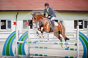 Young gelding horse and handsome man rider jumping obstacle