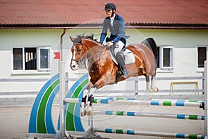 Young gelding horse and handsome man rider jumping obstacle