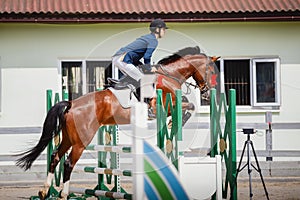 Young gelding horse and handsome man rider jumping obstacle