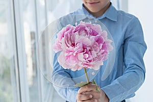 Young gentlemen in blue shirt hold huge gentle  pink peony in hands and smile.