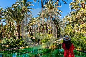 A young girl is admiring palm groves at Huerto del Cura garden in Elche photo