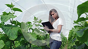 Young girl agronomist records observations