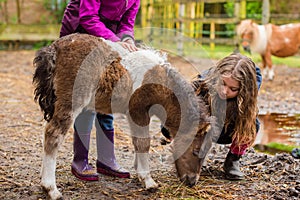 young girl amazed by the meeting with a young foal