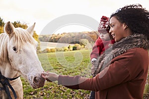 Young Girl On Autumn Walk With Mother Stroking Horse