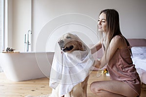 Young girl in the bathroom wipes her dog with a towel, woman dries a golden retriever after bathing