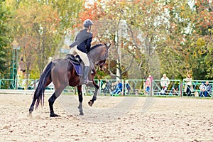 Young girl on bay horse galloping towards a hurdle