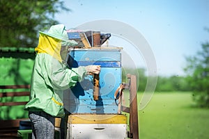 A young girl beekeeper in apiary